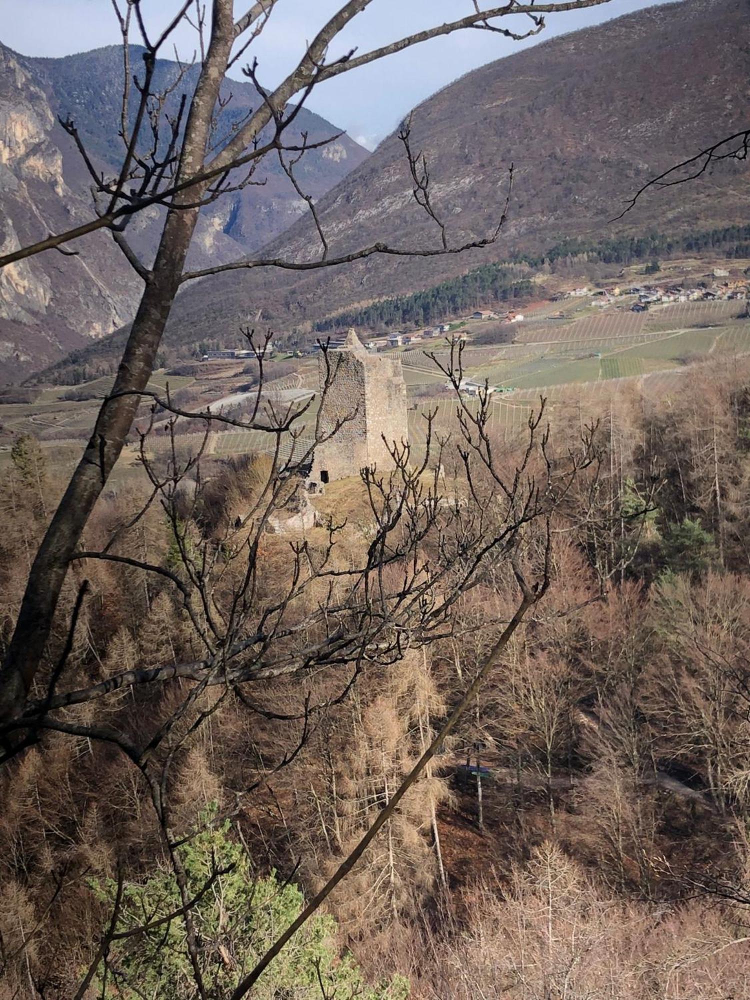 Brenta Luxury Chalet Sporminore Buitenkant foto